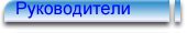Руководители